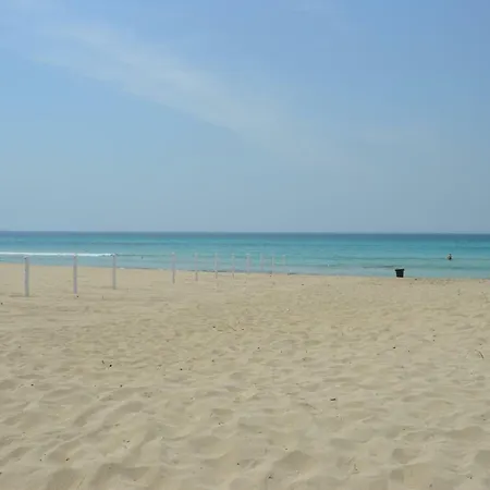 In Gallipoli
